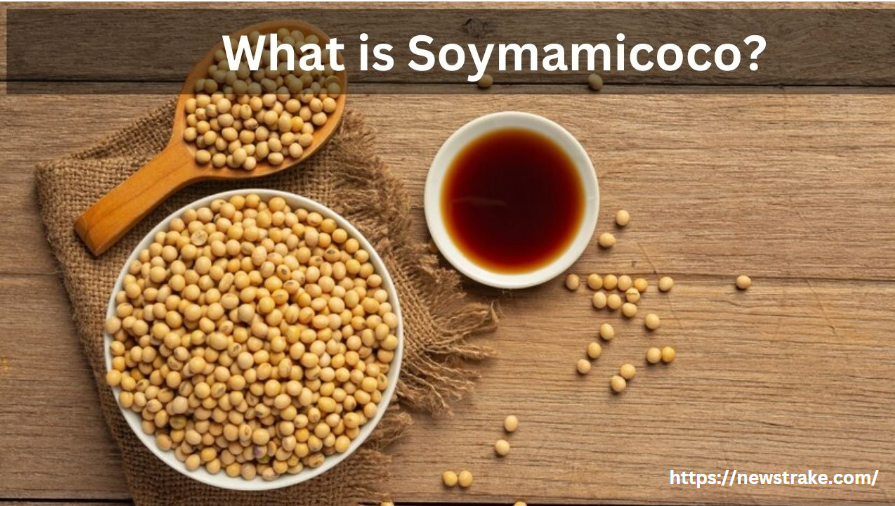 Soymamicoco: The Next Big Thing in Healthy Eating!